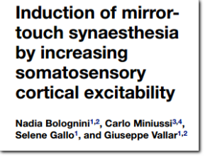 Synaesthesia Increasing Somatosensory Cortical Excitability